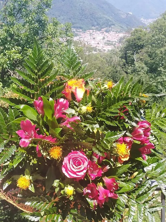 Bed And Breakfast Isabella Miane 0*,  Italy